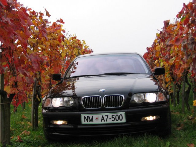 Za BMW koledar 2005 - foto