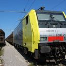 Helgica v Kopru