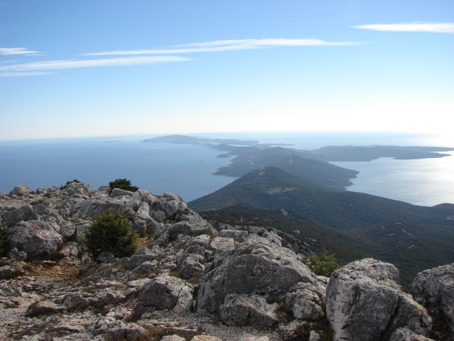 Osorščica - foto povečava