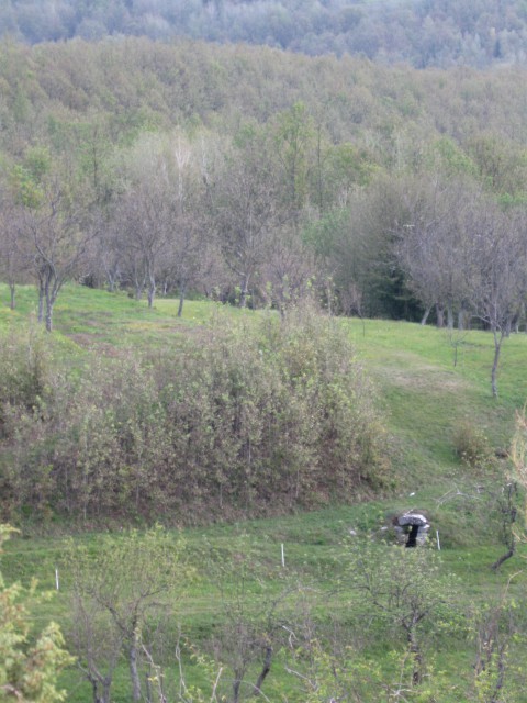 Svitanje v Brkinih - foto