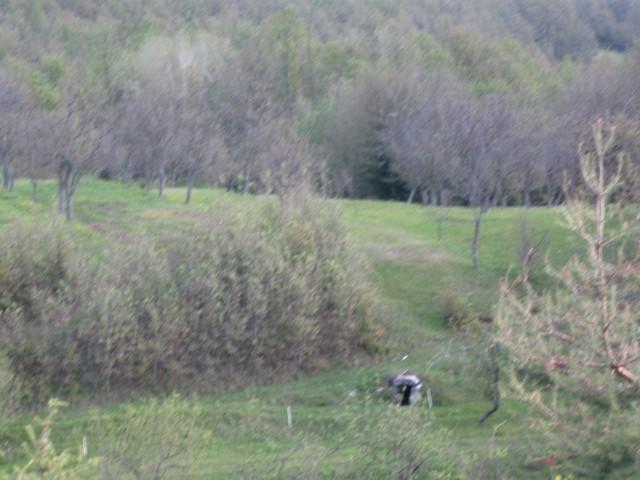 Svitanje v Brkinih - foto