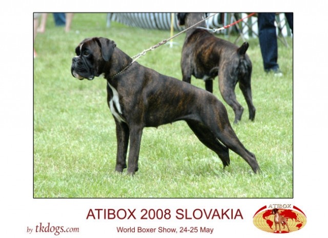 Mladinska Atibox prvakinja