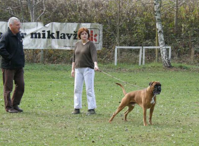 Barbarossa vom Schloß Munchhausen