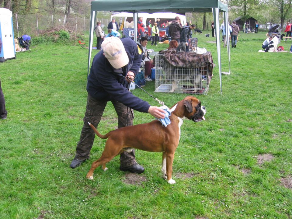 CACIB Maribor & CACIB Pohorje 2010 - foto povečava