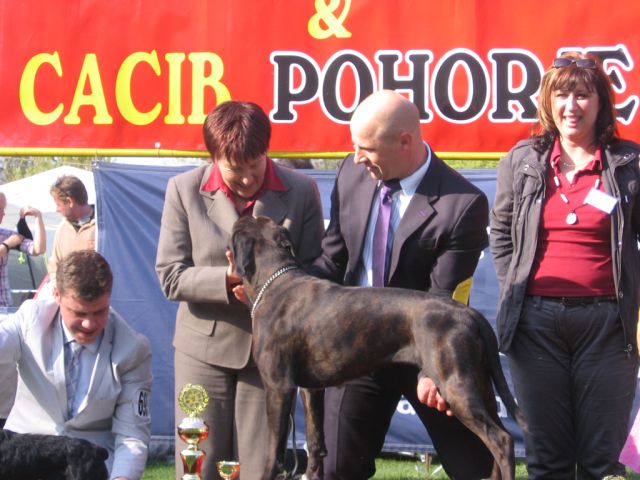 CACIB Maribor & CACIB Pohorje 2010 - foto