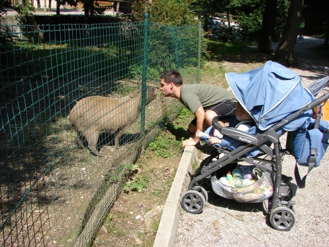 Neo v Zoo - foto povečava