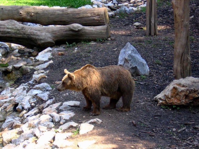 ZOO - foto povečava