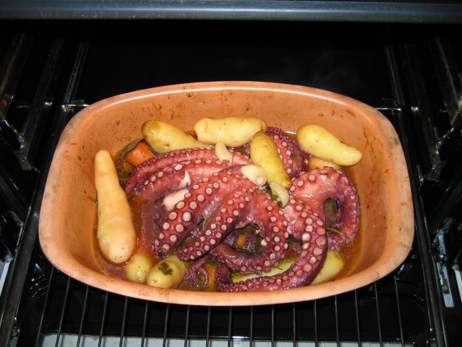 hobotnica v pečici pomlad 2008