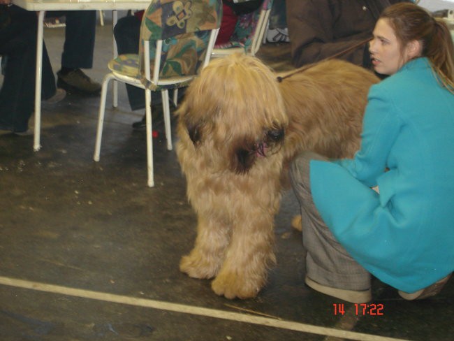 Raztava-gospodarsko raztavišče 14.1.2006 - foto povečava