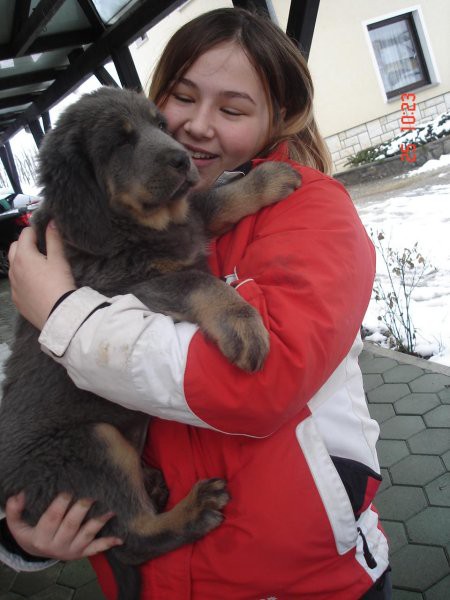 Na obisku pri tibetanskih mladičkih! - foto