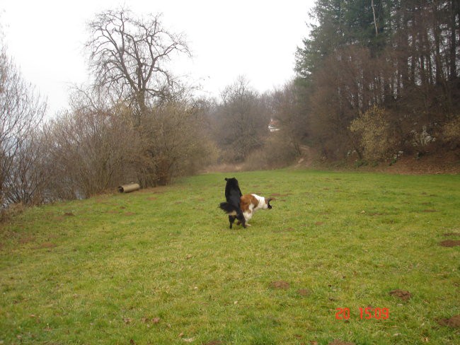 Srečanje novo mesto 20.1.2007 - foto povečava