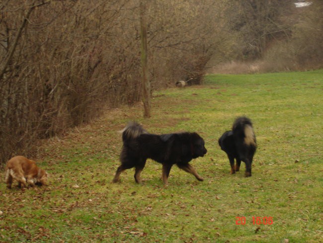 Srečanje novo mesto 20.1.2007 - foto povečava