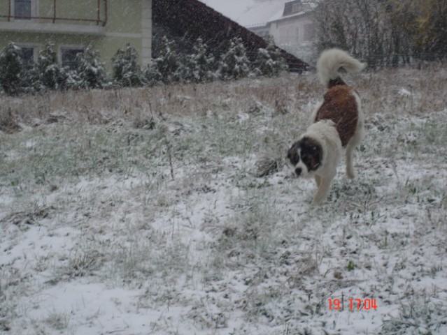 ZIMA 2007-Pika - foto