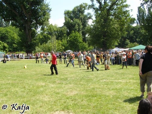 Atibox 2008 - foto povečava