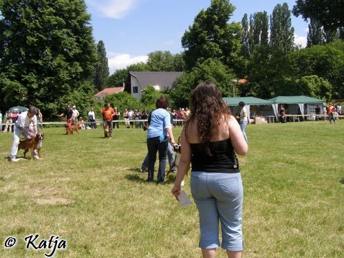 Atibox 2008 - foto povečava