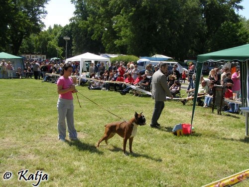 Atibox 2008 - foto povečava