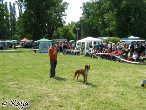 Atibox 2008 - foto