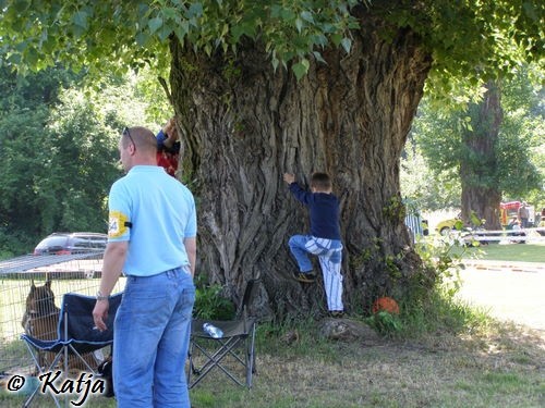 Atibox 2008 - foto povečava