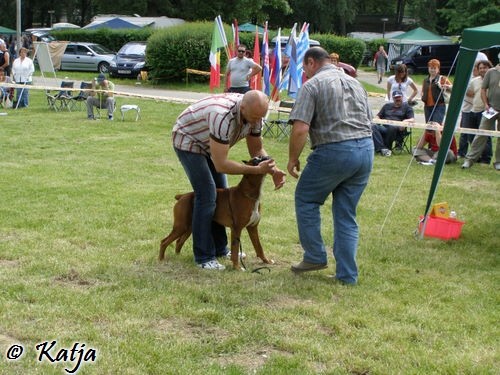 Atibox 2008 - foto povečava