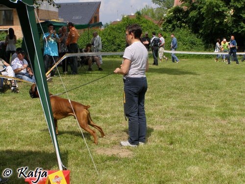 Atibox 2008 - foto povečava