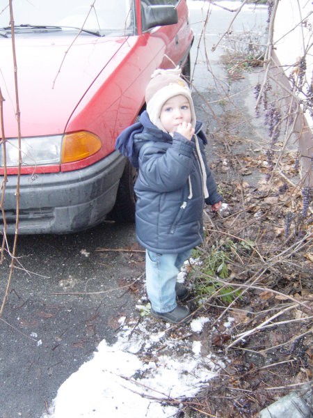 Mami, zakaj mi ne pustiš jest tega grozdja? Ima prav zanimiv okus.