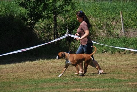 Karin - foto povečava