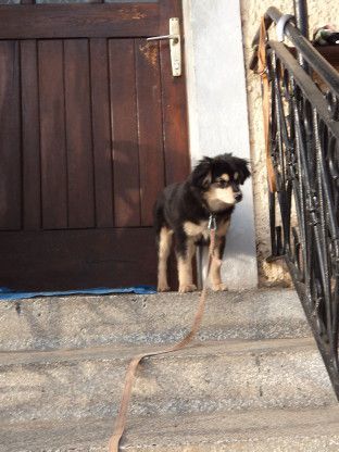 Bump in Lady - foto povečava