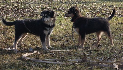 Bump in Lady - foto povečava