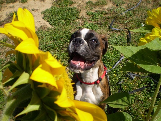 LUCY & OLIVER - foto povečava