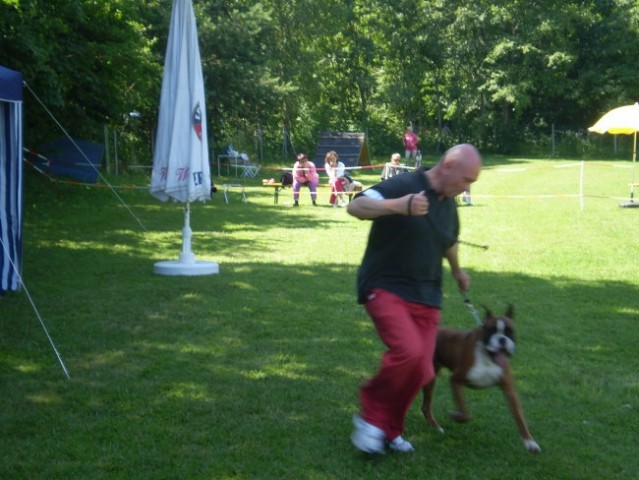 21.tiroler boxerschau - foto