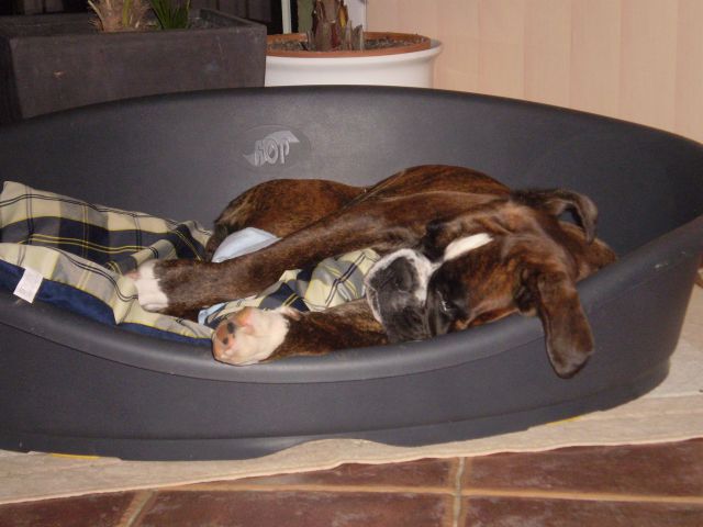 December/januar 2009/2010 - foto