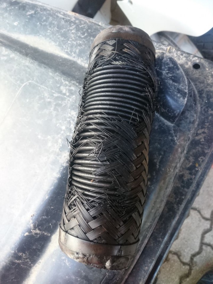 Leto 2020 - foto povečava