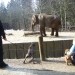 zoo