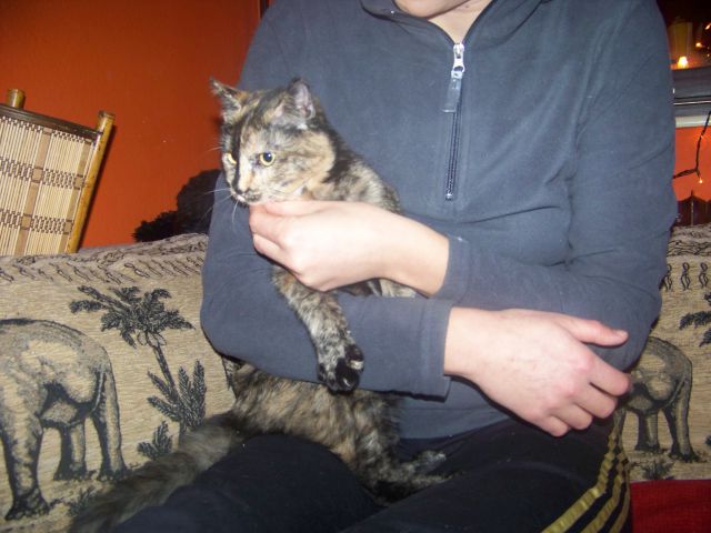 Začasniki - foto