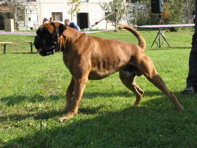 4.OBF - foto