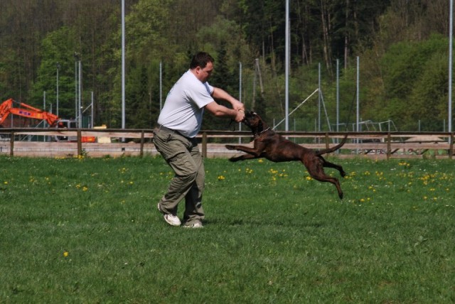 Monti trening - foto