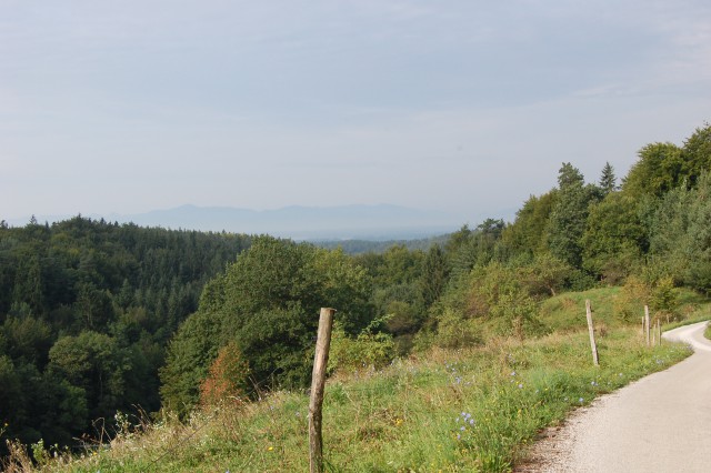 Sorško polje