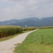 Sorško polje s Crngrobom v ozadju