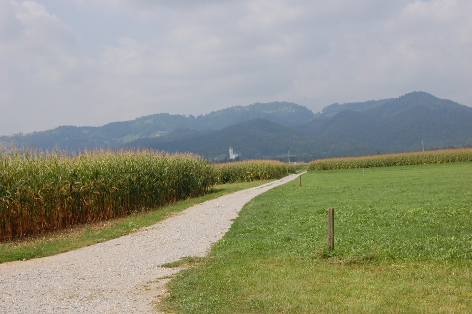 Sorško polje s Crngrobom v ozadju