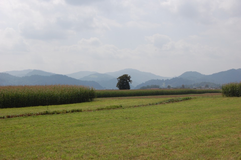 Sorško polje s polhograjskim hribovjem v ozadju