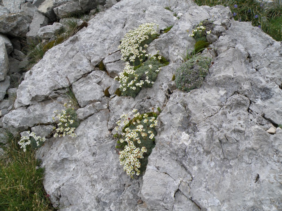 'Oblečena' skala.