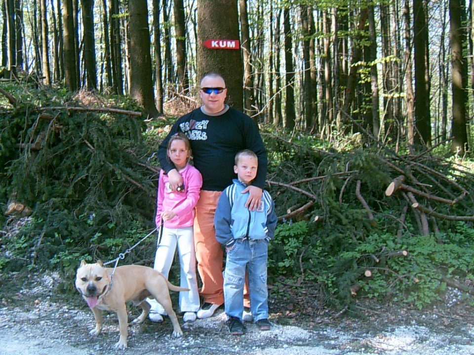 Matto slike - foto povečava