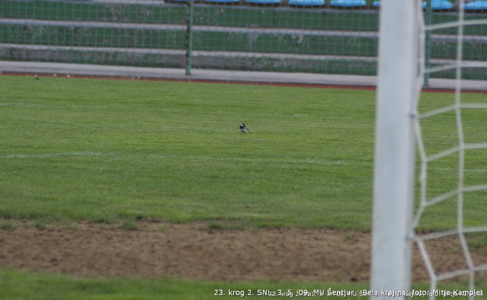 2009-05-03 vs Bela krajina - foto povečava