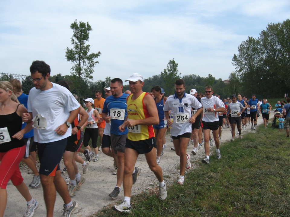 PTUJSKI  POLMARATON - foto povečava