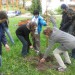 April 2008 - za ZUIM-om je lep, zelen prostor. Skupaj z mladimi, ki se šolajo tam, z njiho
