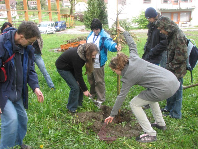 April 2008 - za ZUIM-om je lep, zelen prostor. Skupaj z mladimi, ki se šolajo tam, z njiho