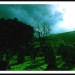 Najprej so dodane bolj žive barve: Filter/Blur/Gaussian Blur (izbrano je 2,5 pixels), nato