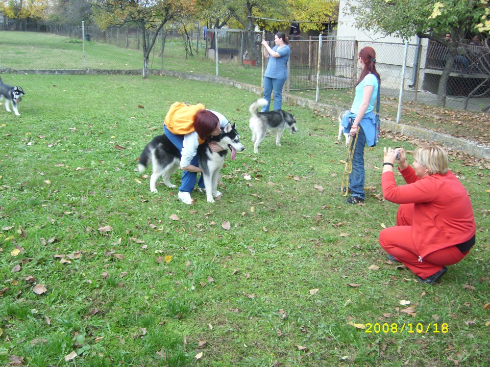 Subota u Obrenovcu 01/11/2008 - foto povečava