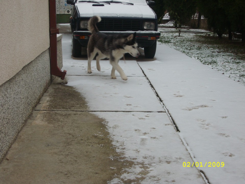 Prvi sneg 26.11.2008 - foto povečava