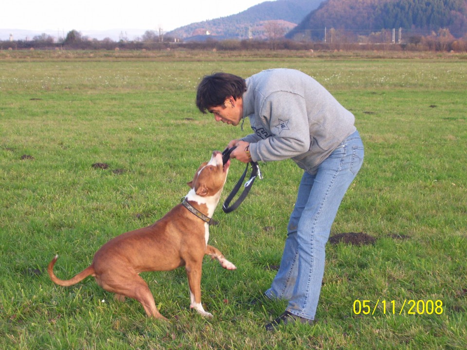 Crt&Sisi - foto povečava